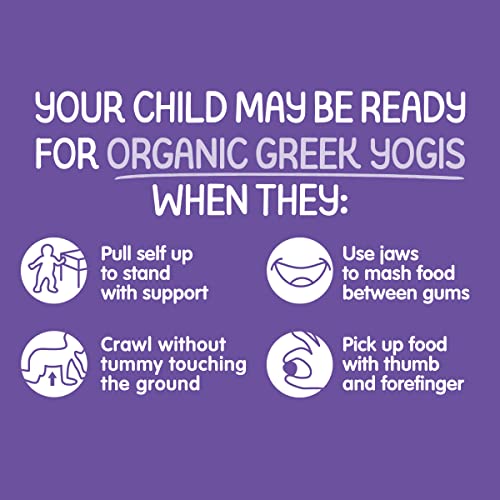 Happy Baby Greek Yogis Freeze Dried Yogurt &Veggie - Image 4