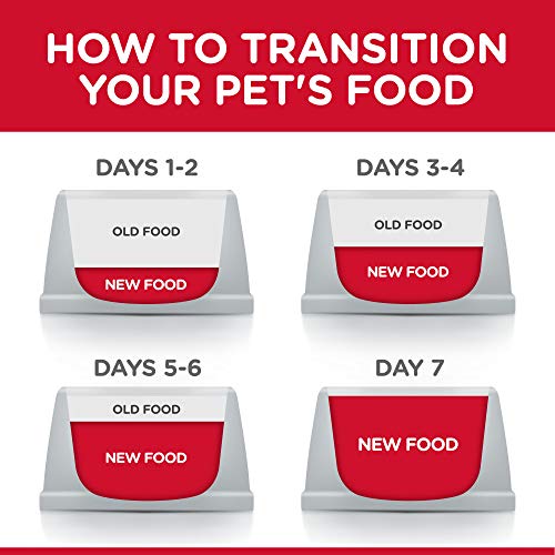 Hill's Science Diet Sensitive Stomach & Skin Wet Dog Food, 12.8 oz, Case of 12 - Image 5