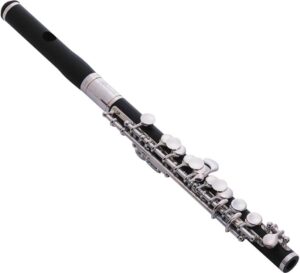 Jupiter Jupiter Piccolo Level 2 190839020567