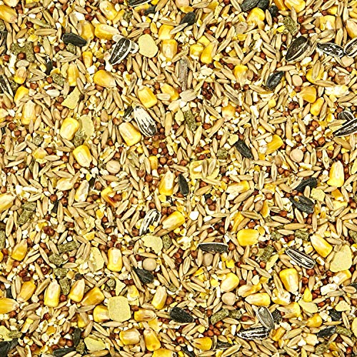 Kaytee Backyard Wildlife Food Blend, 5 Pound - Image 5