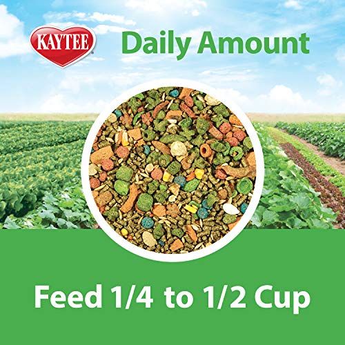 Kaytee Fiesta Pet Guinea Pig Food, 4.5 Pound - Image 4