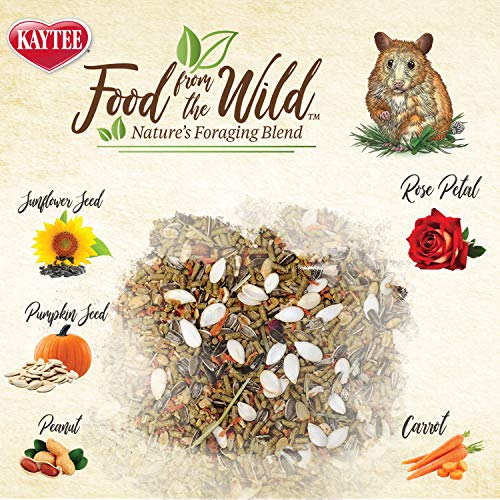 Kaytee Food From The Wild Hamster Food, 2 Pound - Image 3