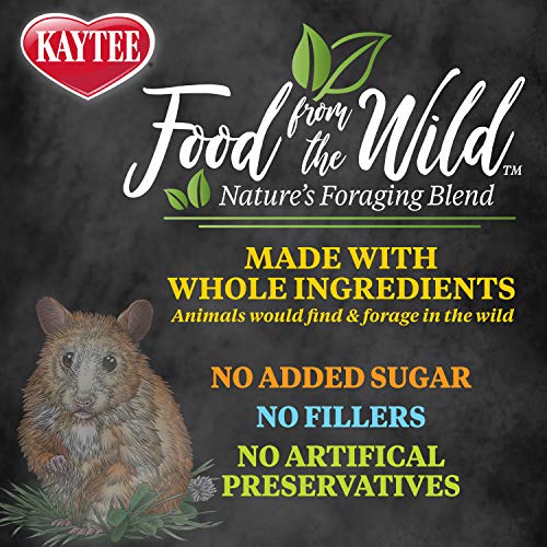 Kaytee Food From The Wild Hamster Food, 2 Pound - Image 4