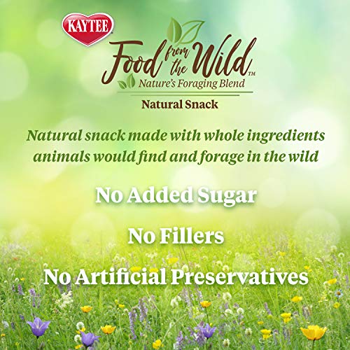Kaytee Food From The Wild Natural Snack, 1 Ounce - Image 4