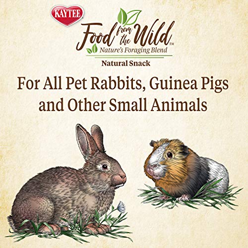 Kaytee Food From The Wild Natural Snack, 1 Ounce - Image 5