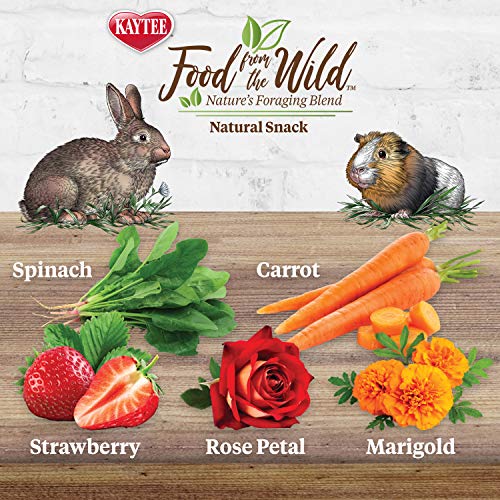 Kaytee Food From The Wild Natural Snack, 1 Ounce - Image 2