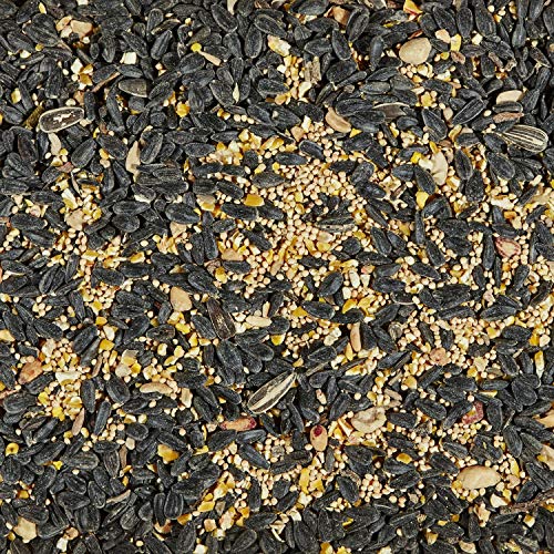 Kaytee Songbird Blend Food Seed, 7 Pound - Image 5
