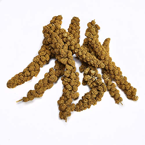 Kaytee Spray Millet Treat for Pet Birds, 7 Oz - Image 3
