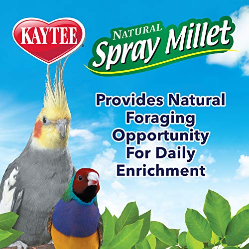 Kaytee Spray Millet Treat for Pet Birds, 7 Oz - Image 5