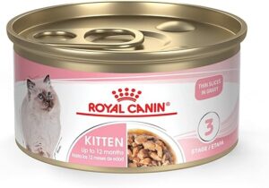 Royal Canin Kitten Thin Slices in Gravy, 3 oz (24-count)