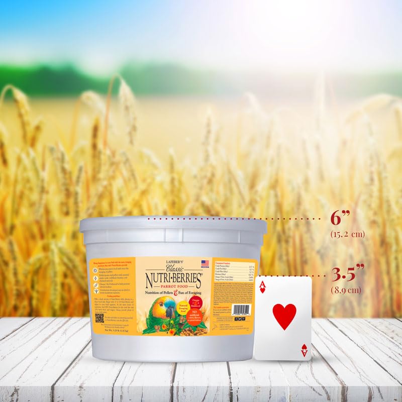 LAFEBER'S Classic Nutri-Berries Pet Bird Food, 3.25 lb - Image 5