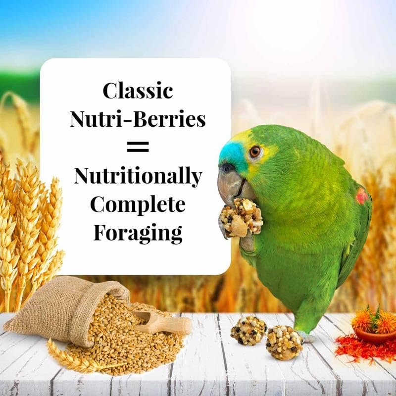 LAFEBER'S Classic Nutri-Berries Pet Bird Food, 3.25 lb - Image 2