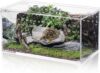 Tlence Magnetic Acrylic Reptile Terrarium, 8″x4″x4″, Clear Flat Habitat