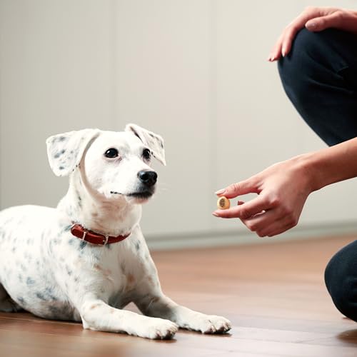 Milk-Bone MaroSnacks Dog Treats, Peanut Butter, 40 Oz - Image 5