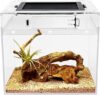 Terrariums & Enclosures