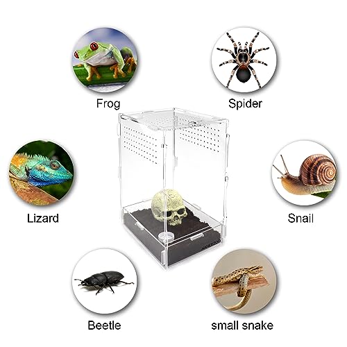 NANEEZOO Micro Habitat Terrariums, 8x6x12 Inches, Acrylic Reptile Tank - Image 3