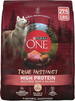 Purina ONE Natural High Protein Dog Food A1234