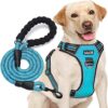 tobeDRI No Pull Adjustable Reflective Dog Harness L (Neck: 18″-25.5″, Chest: 24.5″-33), Blue