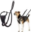 Company of Animals No Pull Adjustable Reflective Dog Harness, Size S