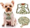 chede No Pull Floral Pattern Dog Harness