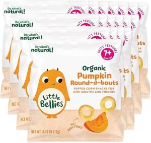 Little Bellies Organic Pumpkin Baby Snack Pack – 18 x 0.42 oz