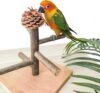 WQY GroceryShop Portable Tabletop Bird Play Stand BP123