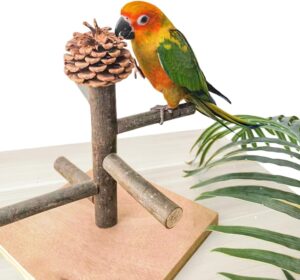 WQY GroceryShop Portable Tabletop Bird Play Stand BP123