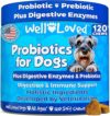 Well Loved Probiotics For Dogs, Digestive Enzymes, USA, XY123