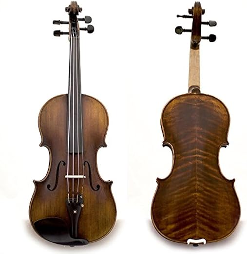 Sky Music Professional Hand-made Full Size Acoustic Violin