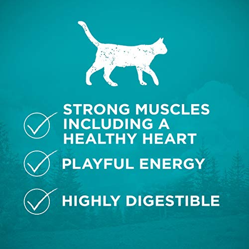 Purina ONE True Instinct Grain Free Dry Cat Food - Image 4