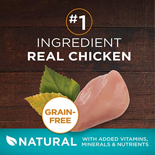 Purina ONE True Instinct Grain Free Dry Cat Food - Image 2