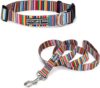 Lucky Love Dog Rainbow Big Dog Collar & Leash Set