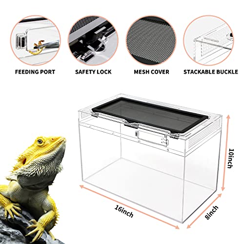 Reptile Growth Reptile Terrarium, 16"x8"x10" Tank - Image 3