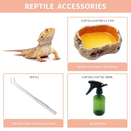 Reptile Growth Reptile Terrarium, 16"x8"x10" Tank - Image 5