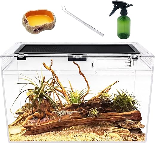 Reptile Growth Reptile Terrarium, 16"x8"x10" Tank