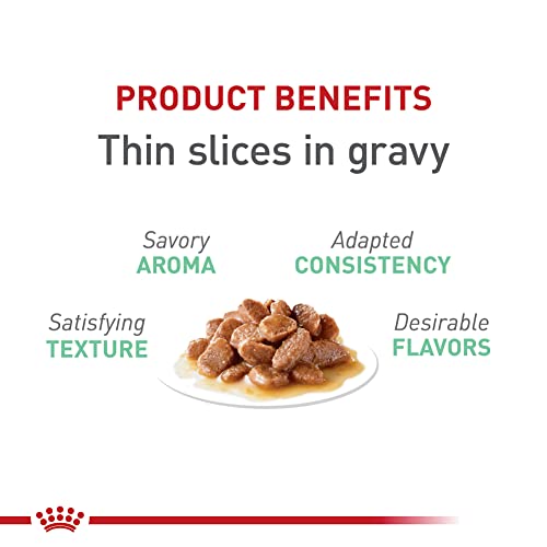 Royal Canin Digestive Care Thin Slices Wet Cat Food, 3 oz (24-count) - Image 3