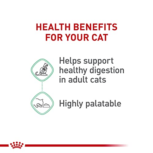 Royal Canin Digestive Care Thin Slices Wet Cat Food, 3 oz (24-count) - Image 4