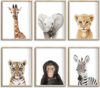 calmart Set Of 6 Safari Nursery Wall Decor