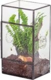 NCYP Small Glass Terrarium With 3 Vent Holes