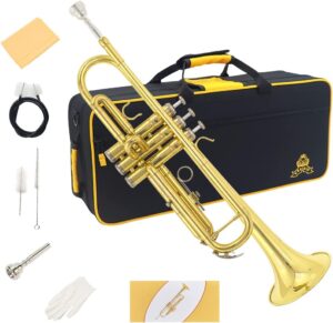 Yasisid Standard Trumpet Set With Accessories (Golden)