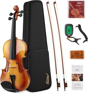 Eastar Violin Set Full Size EVA-330