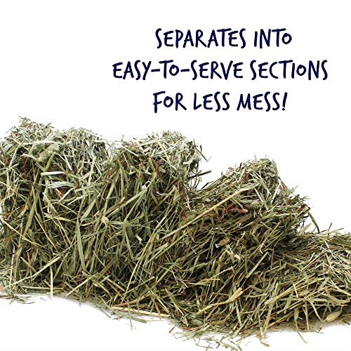 Vitakraft Timothy Hay for Guinea Pigs, Rabbits, Chinchillas - 3.5 lbs - Image 3