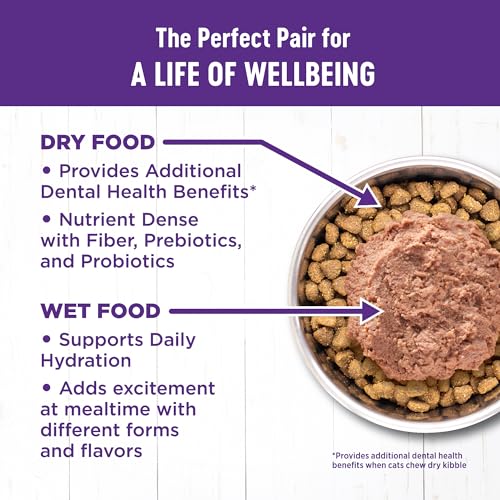 Wellness Complete Health Grain Free Cat Food - Image 5