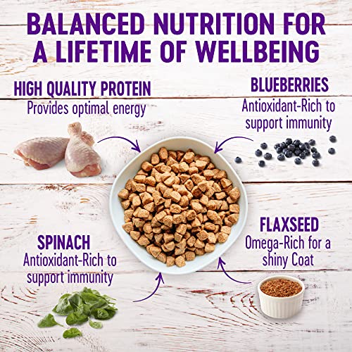 Wellness Complete Health Senior Dog Food, 30-Pound - Image 3