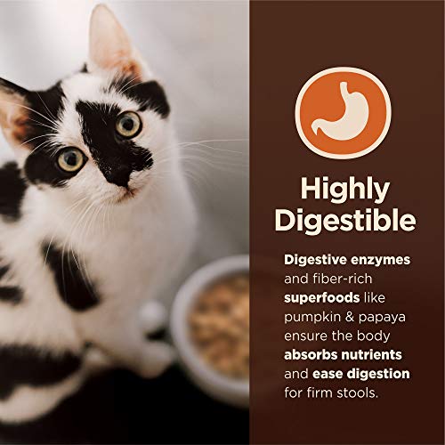 Wellness Digestive Health High Protein Cat Food, 11lb - Image 3
