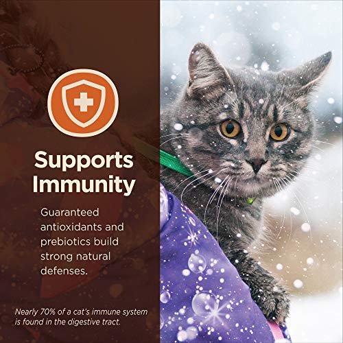 Wellness Digestive Health High Protein Cat Food, 11lb - Image 5