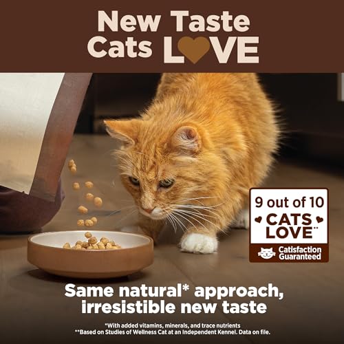 Wellness Digestive Health High Protein Cat Food, 11lb - Image 2