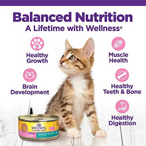 Wellness Grain-Free Wet Kitten Food, 3-Ounce, Pack of 12 - Image 3