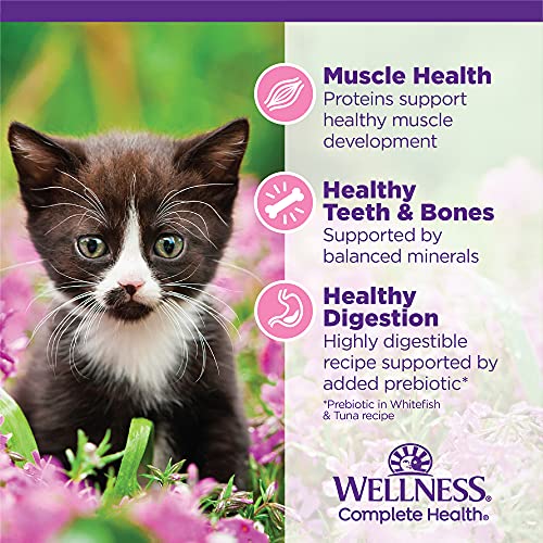 Wellness Grain-Free Wet Kitten Food, 3-Ounce, Pack of 12 - Image 5