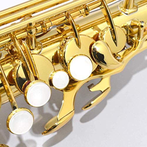 YAMAHA Intermediate Eb Alto Saxophone, Gold Finish - Image 3